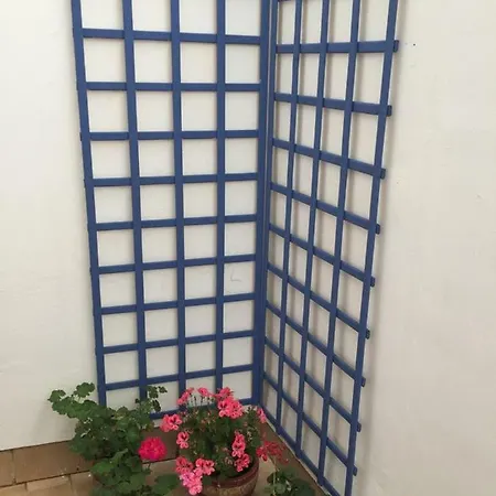 Apartment Balneario Playa Caleta